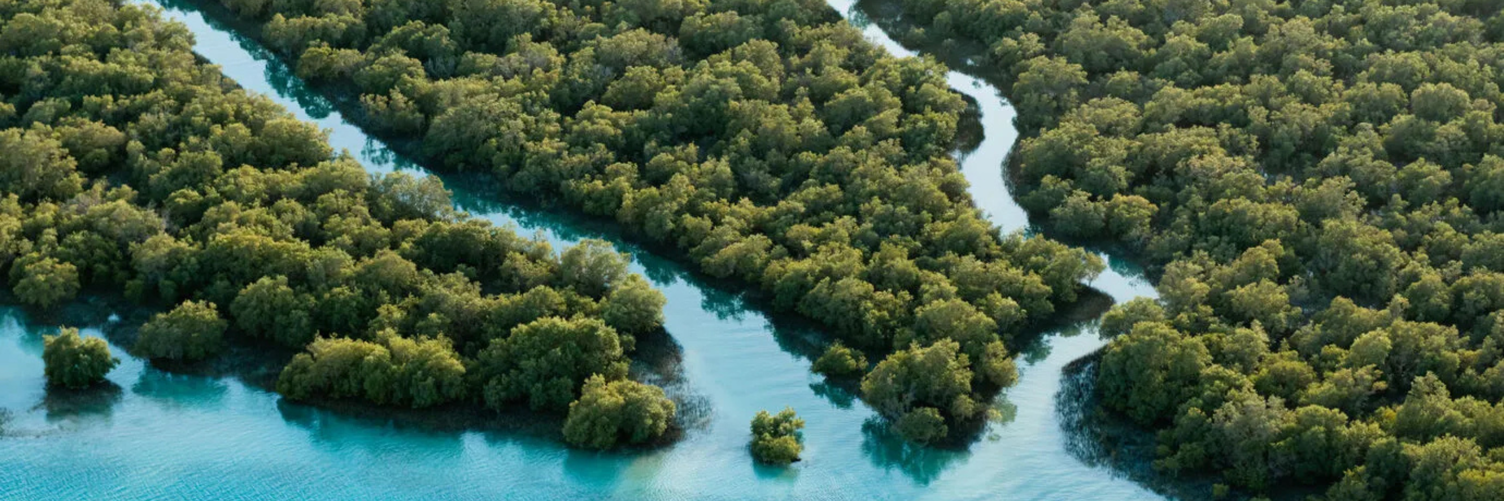 Powered by Purpose: The Big Impact Behind Everyday Choices